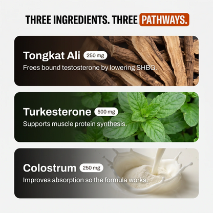 Turkesterone & Tongkat Ali